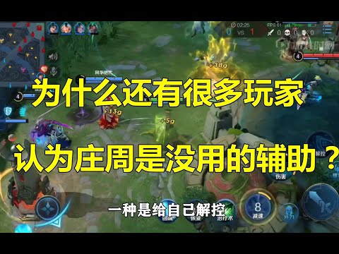 王者荣耀：为什么有很多玩家，认为庄周是没用的辅助？