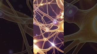 Neurohealing.Relax healing.528 Hz #relaxingmusic #healingmusic