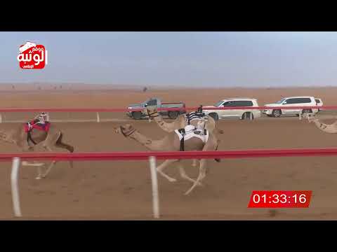 الشوط 2 واضح ل سعيد سالمين النعيمي 4 40 شارة الديوان 2023 10 27 حقايق الجبيب