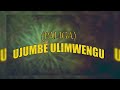 PALIGA ULIMWENGU OFFICIAL AUDIO NYIMBO MPYA YA KISUKUMA 2026