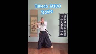 Iaido Takeda Ryu Basics, Iaijutsu, Katana | Exercise Drills #shorts