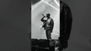 Γππππ & π‘πππππ - π π¨ππ£ππ‘πiΜ ππ’πππππ Resimi