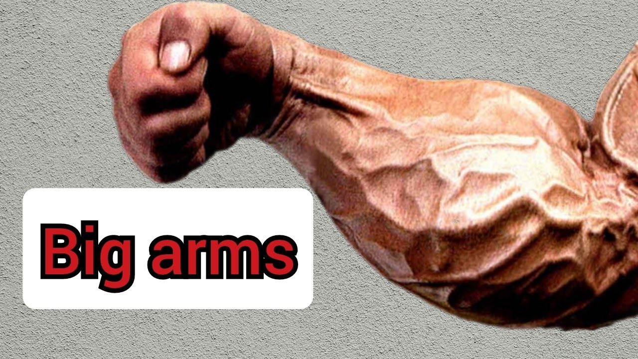 How to pump your forearm at home top 3 exercises YouTube