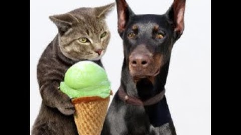 Lessons learned from creating the Blazor ChatGPT Dalle2 app - Part2