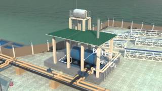Desal Animation Video