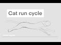 Cat run cycle | Animation