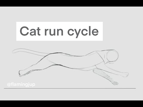 Cat run cycle | Animation