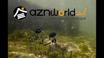 AZNworldRiverproject