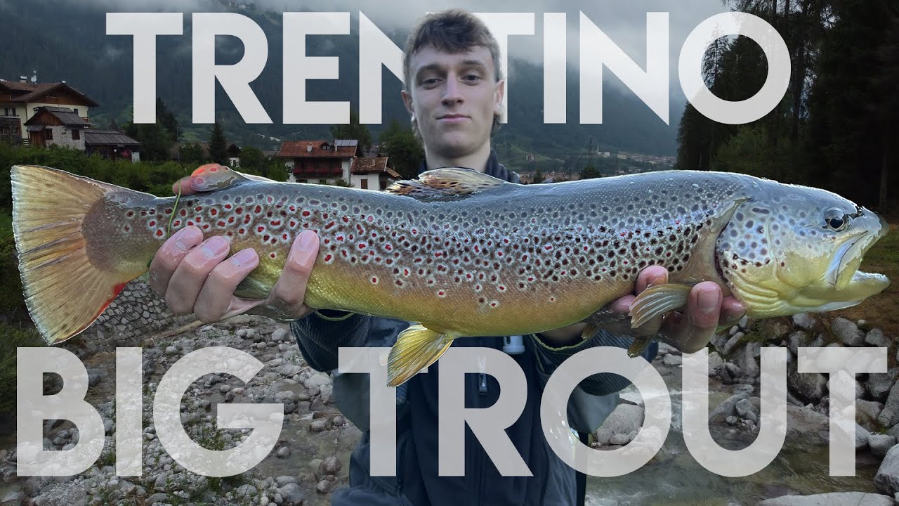 TROTA ENORME IN VAL DI SOLE!!! - Pesca a Mosca in Trentino
