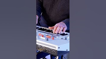 UDO Audio Super Gemini #synth #synthesizer #synthwave #synthpop #keyboardist #musicproducer #analog