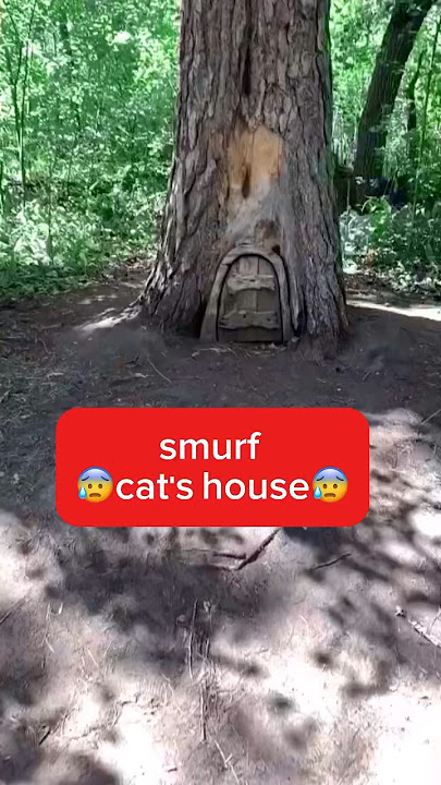 I FOUND THE SMURF CAT’S HOUSE #shorts