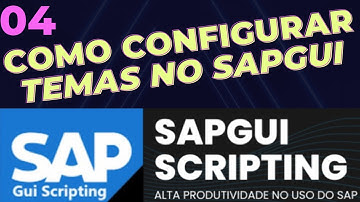 04 Themes Configuration in SapGui 770 - SapGui Scripting