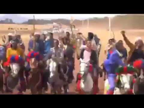 Jila Simanaa KOF Arsii Shirkaa Haala Nama Gamaachisuun Xumurame Jira Injifannoo Galuun Baranuma 