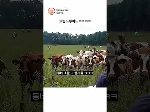 트림 드루이드 ㅋㅋㅋㅋ thumbnail