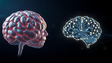 Human Brain vs. Computer: Mind-Blowing Connection Explained!