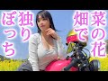 【バイク女子】衝撃初めての300kmロングツーリング。それでも菜の花が綺麗だった…【モトブログ】