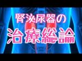 【看護学校講義】腎泌尿器4　治療総論