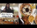Are UC Berkeley Dining Halls Good?! What I Eat in a Week in College