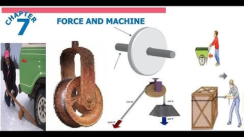 Class 4 Science Chapter 7 from STBB publisher book for PST and JEST Test preparation