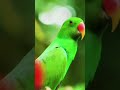 علمتنا الحياه أن الصمت أبلغ من الكلام حكم أحاسيس تعلم إدراك