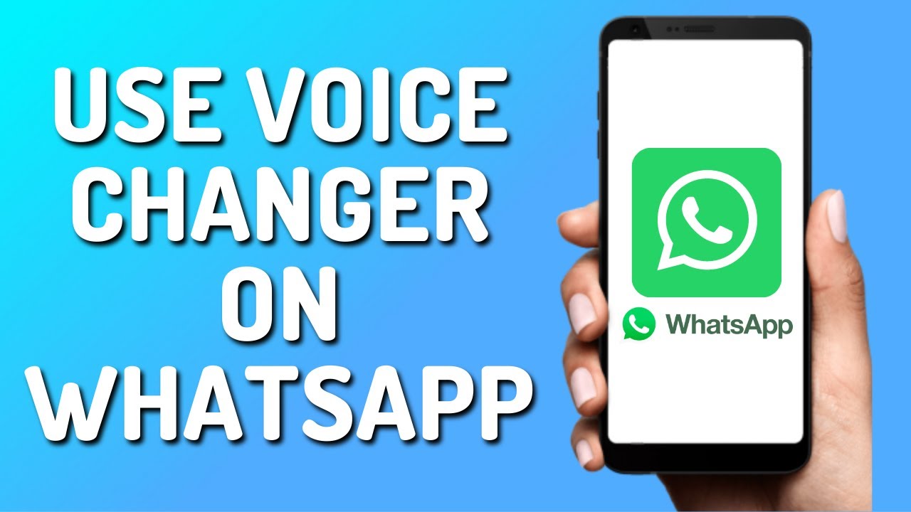 Tutorial】How to Change Voice During WhatsApp Call? - iMyfone