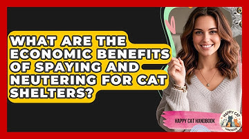 What Are The Economic Benefits Of Spaying And Neutering For Cat Shelters? - Happy Cat Handbook