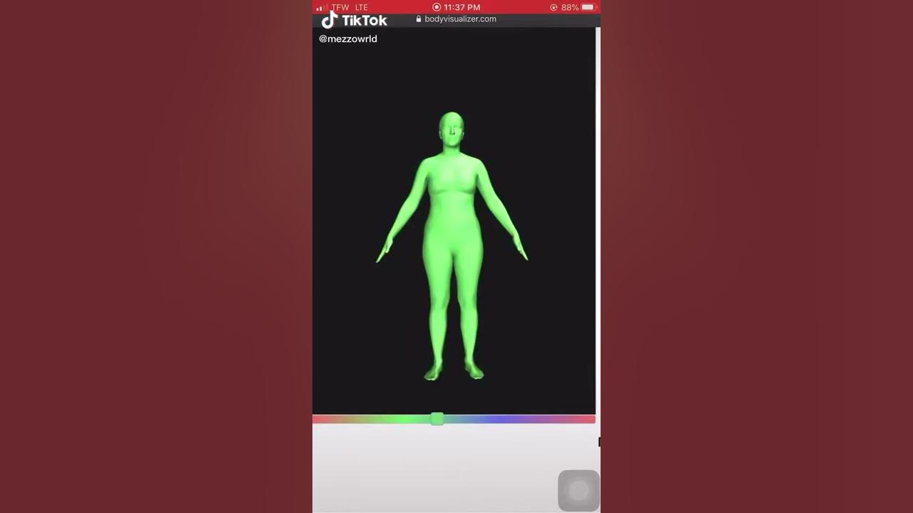 body visualizer meme 3 YouTube