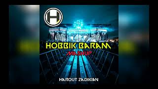 Harout Zadikian - Momentum & حبك برم Hobbik Baram [Mashup ماشاب]