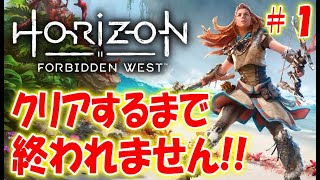 Horizon Forbidden West #1サムネイル