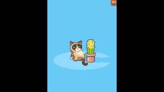 Grumpy Cats Worst Game Ever!