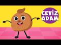 Ceviz Adam Çocuk Şarkısı 🌰 Şip Şap Şop Eğitici Video
