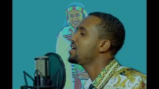 ለስለስ ያሉ የኦሮመኛ ሙዚቃዎች ስብስብ/New Ethiopian Afaan Oromo Music By Yitayal Dejene/