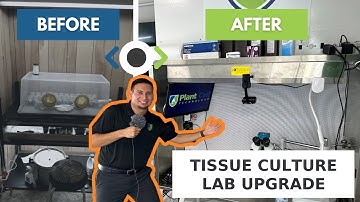 From This To That: How I Built My Own Home Tissue Culture Lab
