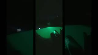 #airsoft  #shopee Demonstração lanterna led verde de caça da shopee screenshot 1