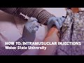 How To Give Injections Intramuscular IM Injections Weber State University 