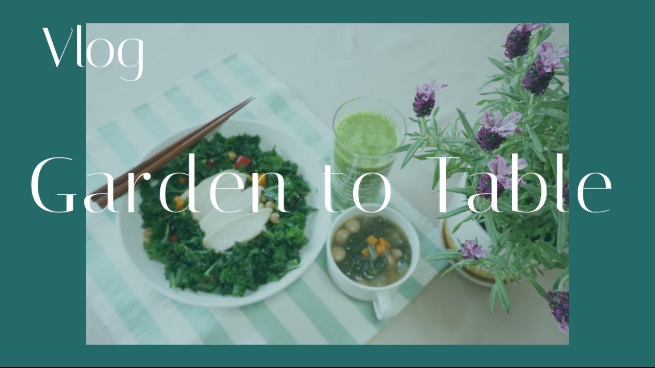 4 เมนูสุขภาพง่ายๆจากผักเคลปลูกเอง Easy Kale Recipes