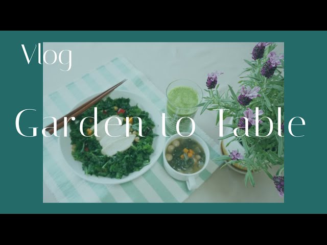 4 เมนูสุขภาพง่ายๆจากผักเคลปลูกเอง Easy Kale Recipes - YouTube