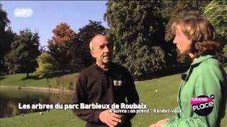 Les arbres du parc Barbieux à Roubaix