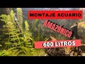 ACUARiO amazónico 600 litros- montaje y plantado, #peces #discos #amazonico