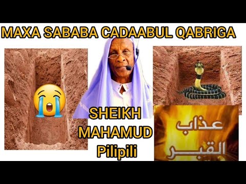 Cadaabul Qabriga Maxa Keeno Sheikh Maxamuud Pilipili