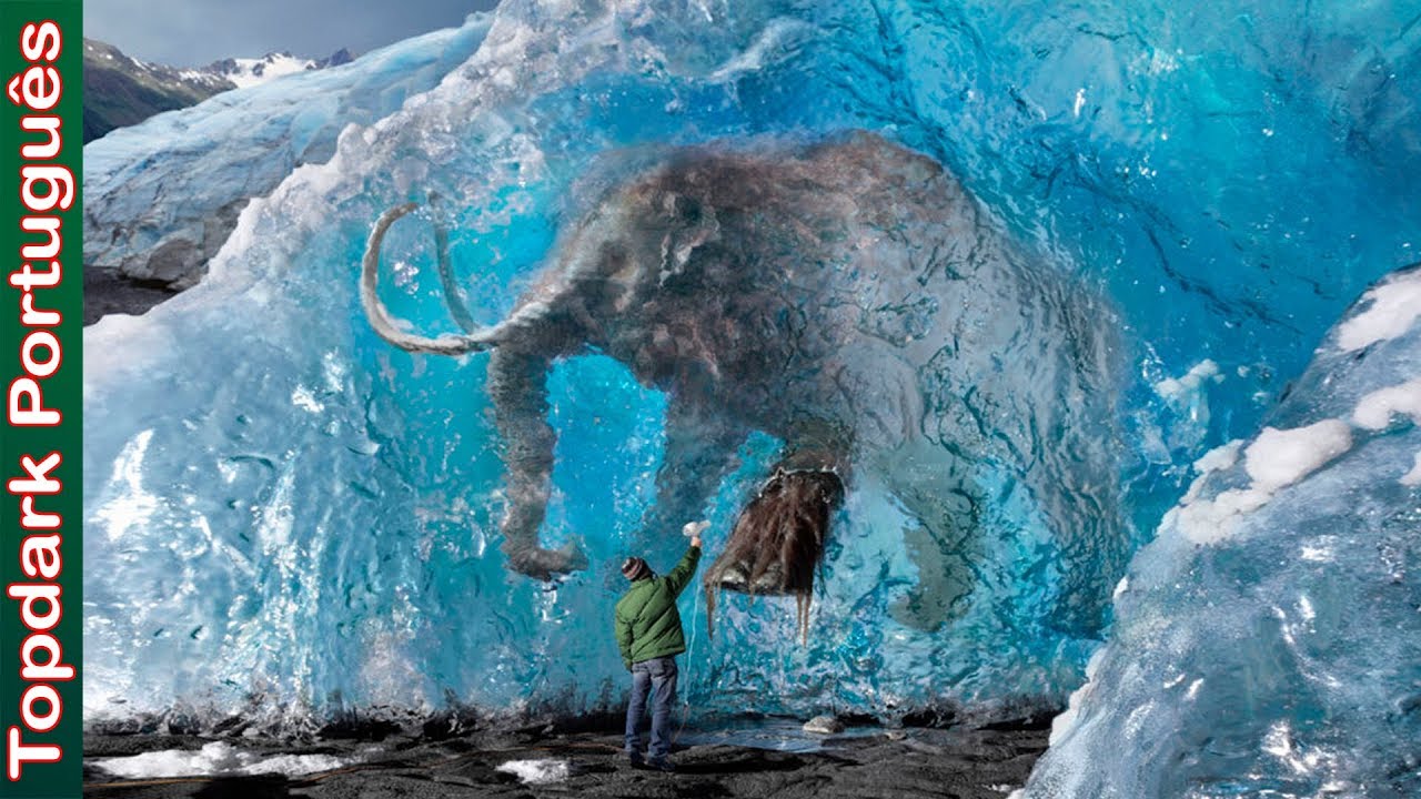 10 Animais encontrados congelados - YouTube