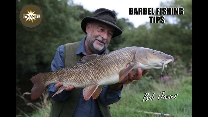 SHORT SESSION BARBEL  SYORK&MIDs FISHING Press