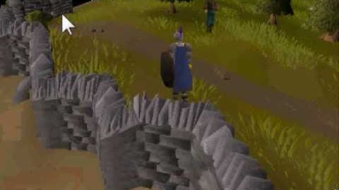 My lvl 2 clue scroll #1