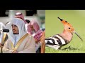 وقالا الحمد لله الذي فضلنا على كثير من عباده المؤمنين بصوت ياسر الدوسري تلاوة خاشعة تقشعر الأبدان وقالا الحمد لله الذي فضلنا على كثير من عباده المؤمنين بصوت ياسر الدوسري تلاوة خاشعة تقشعر الأبدان