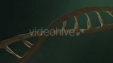 DNA | Motion Graphics - Envato elements