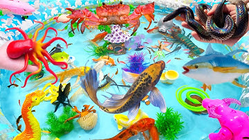 Sinh Vật Biển,Cá Mập,Cá Heo,Ếch,Rết,Tôm Hùm,Ốc Mượn Hồn,Chim Cánh Cụt,Cá Nhỏ,Cá 7 Màu,Cá 3 Đuôi,Sứa