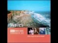 Rough guide to music of wales dylan fowler julie murphy  y ddau farch welsh