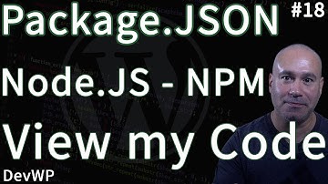 View the Code - Package JSON file - Node JS - NPM Scripts