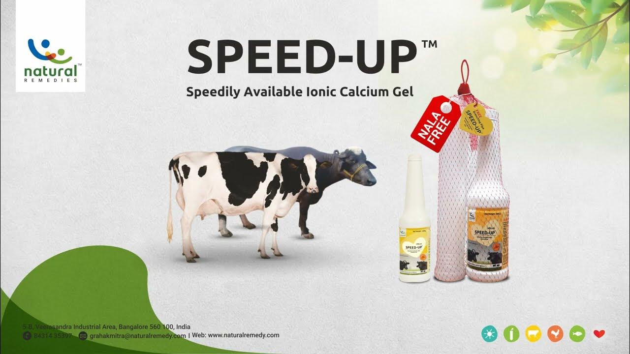 Speed-up: Oral Ionic Calcium Gel for Ruminant Animals