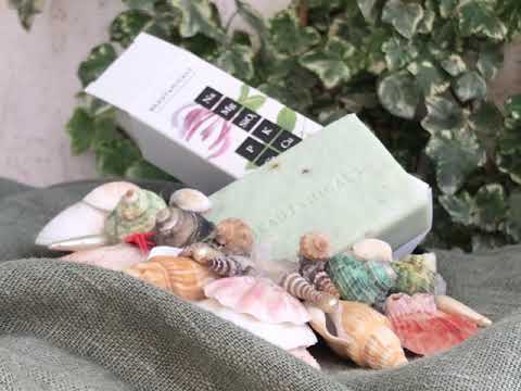 ანიბანი წარმოგიდგენთ ჩვენს ახალ, ეკო-მეგობრულ სერიას Beautanicals